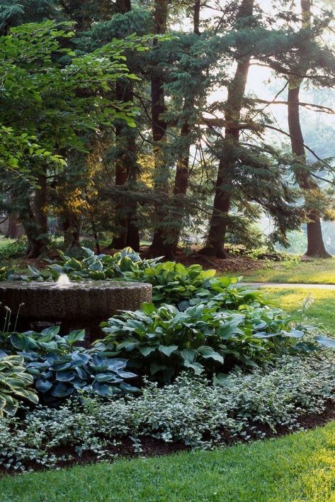 Our hosta garden design plan is perfect for those shady spots in your yard that could use a bit of sprucing up. Download our free PDF with details. #landscaping #shadegarden #gardenplans #bhg Planting Around Trees, Cozy Coastal Cottage, Shade Landscaping, Hosta Gardens, Garden Plan, Gardening Trends, Green Things, Park Landscape, Garden Design Plans