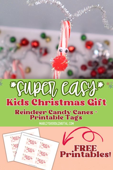 Make Christmas memorable with these DIY reindeer candy canes! Featuring free printable gift tags, these candy canes make perfect classroom treats, stocking stuffers, and holiday party favors. Made with pipe cleaners and googly eyes, they’re fun and easy to make. Download your free gift tags and start crafting these adorable reindeer candy canes with the kids! Candycane Reindeers, Candy Cane Reindeer Craft For Kids, Candy Cane Reindeer Craft, Reindeer Candy Canes Craft, Candy Cane Gifts For Kids, Candy Cane Holders Diy, Candy Cane Favors, Candy Cane Gift Ideas, Christmas Party Treats For Kids