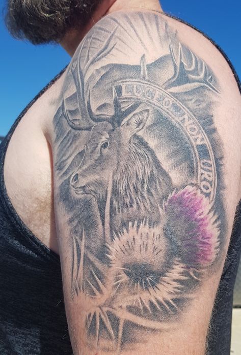 Luceo Non Uro, MacKenzie Stag, Scottish Thistle, Scotland Tattoo Ideas, Scotland Tattoo, Scottish Thistle Tattoo, Scottish Tattoo, Feminine Cross Tattoo, Scottish Tattoos, Small Cross Tattoos, Thistle Tattoo, Stag Tattoo