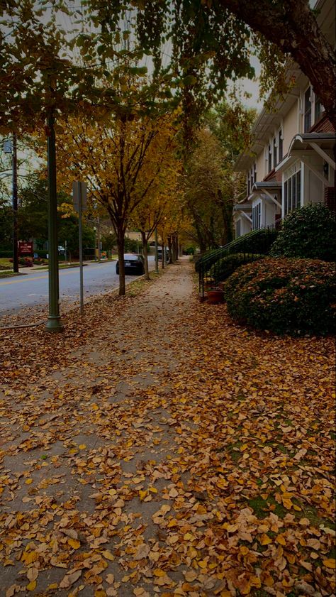 Fall In A Small Town Aesthetic, Fall Aesthetic Small Town, Fall Road Aesthetic, Autumn Neighborhood Aesthetic, Small Town Aesthetic Fall Dark, Tis Autumn, Autumn Street, Fall Mood Board, Autumn Magic