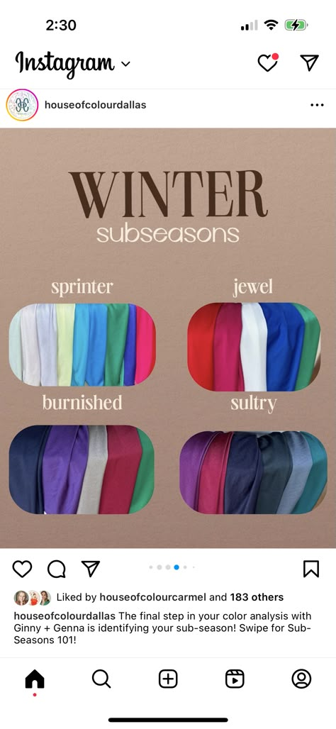 House Of Colour Winter Nails, Sultry Jewel Winter, House Of Colour Jewel Winter, Sprinter Winter Color Palette, Burnished Winter House Of Colour, Muted Winter Color Palette, Sultry Winter Color Palette, Soft Classic Deep Winter, Winter House Of Colour Outfits