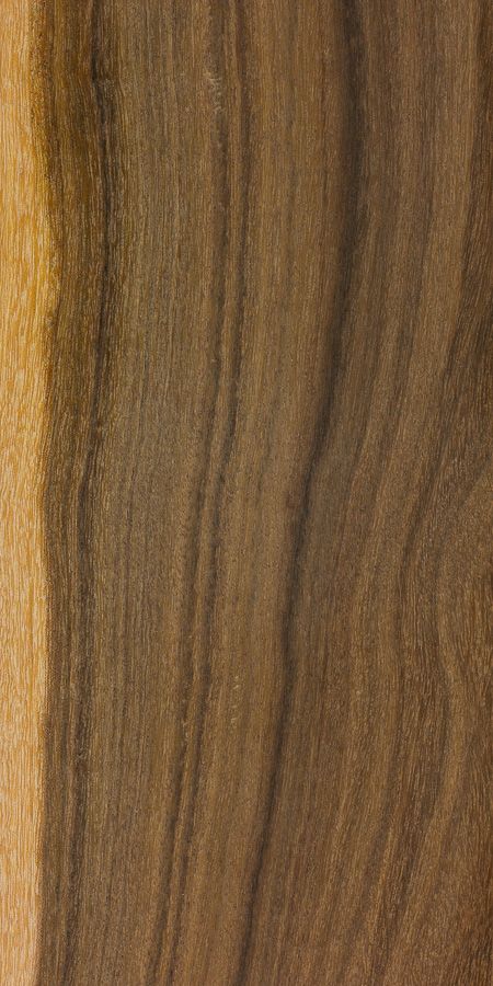 Ironwood wattle | The Wood Database - Lumber Identification (Hardwood) Wood Lumber, Workshop Organization, Wood Texture, Dremel, Lumber, Hardwood Floors, Woodworking, Flooring, Texture