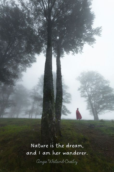 nature quotes | Angie Weiland-Crosby quotes | misty forest wanderer by khamkeo | "Nature is the dream, and I am her wanderer." Angie Weiland-Crosby  #quotes #naturequotes #misty #forest #khamkeo #blogging #naturelovers #soul #angieweilandcrosby #momsoulsoothers Nature Peace Quotes, Nature Sayings, Short Nature Quotes, Inspirational Nature Quotes, Forest Wanderer, Forest Quotes, Nature Quotes Inspirational, Quotes Spring, Nature Poetry