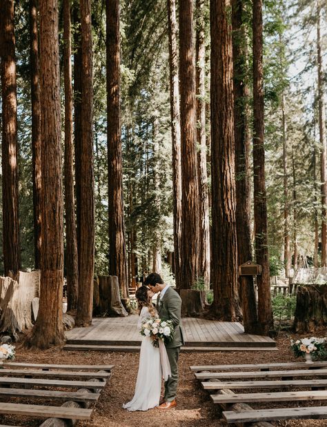 Head into the Woods with 14 Must-See Forest Weddings! - Green Wedding Shoes Forest Wedding Ceremony, Redwood Wedding, Backless Lace Wedding Dress, Wedding Ceremony Ideas, Woodsy Wedding, Weddings By Color, Woodland Wedding, Green Wedding Shoes, Wedding In The Woods