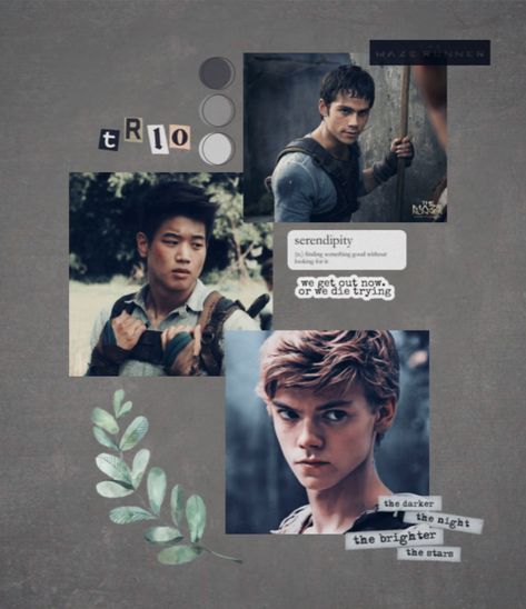 The Ivy Trio Wallpaper, Ivy Trio Wallpaper, The Ivy Trio, Narnia Imagines, Ivy Trio, Trio Wallpaper, Runner Aesthetic, Maze Runner Movie, Fav Books