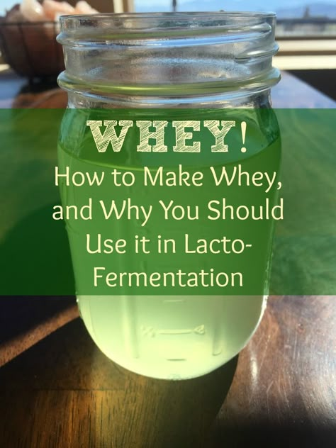 Lactofermentation Recipes, Fermented Beets, Whey Recipes, Fermented Recipes, Fermented Vegetables Recipes, Lacto Fermentation, Lacto Fermented, Fermented Veggies, Fermented Pickles