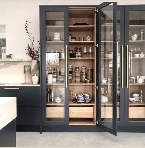 Glass Pantry Door, Glass Pantry, Glam Kitchen, Desain Pantry, Kitchen Pantry Design, Pantry Design, Kitchen Cabinetry, Kitchen Pantry, Cabinet Design