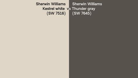 Thunder Gray Sherwin Williams, Kestrel White, Gray Sherwin Williams, Sherwin Williams Gray, Exterior Color Schemes, Kestrel, Space Interiors, Retro Modern, Modern Spaces