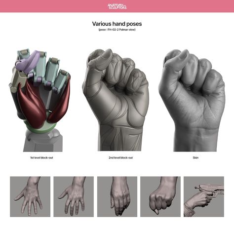 ArtStation - Various hand poses, Anatomy For Sculptors Anatomy Of The Hand, Poses Anatomy, Anatomy Books For Artists, Anatomy For Sculptors, Zbrush Anatomy, Arm Anatomy, Anatomy Book, Human Anatomy Reference, Hand Anatomy