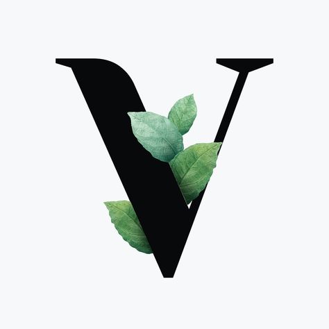 Botanical capital letter V vector | free image by rawpixel.com / Aum N Letter Design, Botanical Capital Letter, Sk Logo, Leaf Font, Floral Typography, Alphabet Letters Design, Letters Design, Free Illustration Images, Lovely Quotes