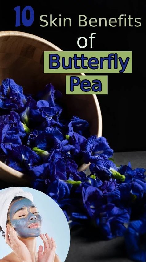 Periwinkle or Sadabahar Flower for Hair| Sadabahar Hair MaskTop 10 Skin Benefits of Butterfly Pea Flower: Nature's Secret to Healthy Skin Butterfly Pea Flower Tea Benefits, Blue Butterfly Flower, Pea Flower Tea, Butterfly Pea Tea, Butterfly Pea Flower Tea, Skincare Solutions, About Butterfly, Butterfly Pea Flower, Pea Recipes