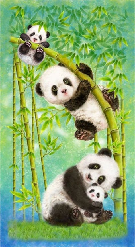 Panda Sanctuary, Panda Family, Panda Drawing, Panda Lindo, Panda Art, Cute Panda Wallpaper, Panda Love, Fabric Prints, Bear Wallpaper