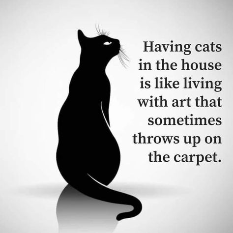 Cat Jokes, Cat Quotes Funny, Black Cat Art, Cat People, Cat Quotes, Cat Posters, Funny Cute Cats, Pics Art, Crazy Cat Lady