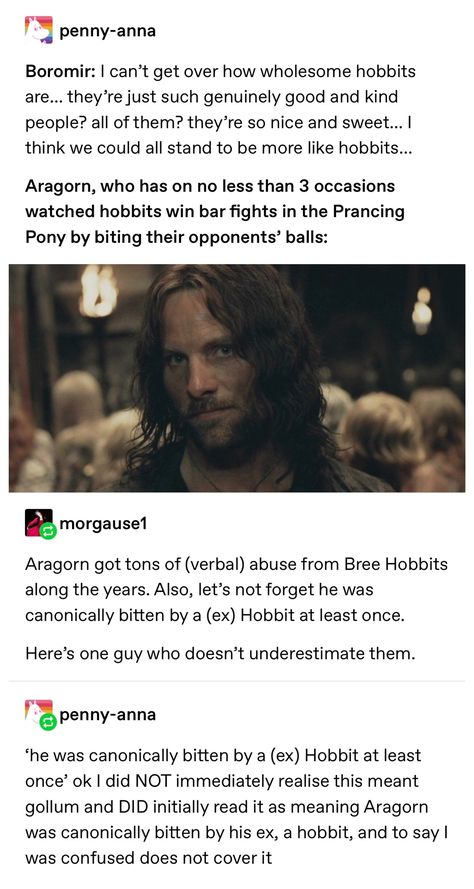 Hobbits Lotr, Hobbit Imagines, Aragorn Imagines, Aragorn X Boromir, Aragorn Quotes, Lotr Modern Au, Hobbit Headcanon, Lotr Aragorn, The Hobbit Funny