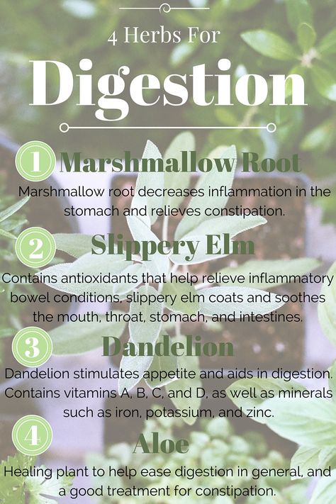 Ibs Relief, Autoimmune Diet, Acid Reflux Diet, Essential Oils Herbs, Decrease Inflammation, Relieve Constipation, Digestive Issues, Healing Plants, Holistic Nutritionist