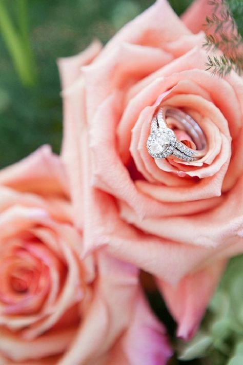 love this idea! Ring Photoshoot, Wedding Ring Photography, Bridal Statement Necklace, Wedding Ring Shots, Pink Wedding Rings, Wedding Ring Pictures, Ring Photography, Wedding Rings Photos, Wedding Picture Poses