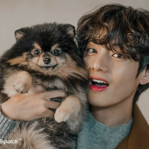 Small Dog, Kim Taehyung, A Man, Bts