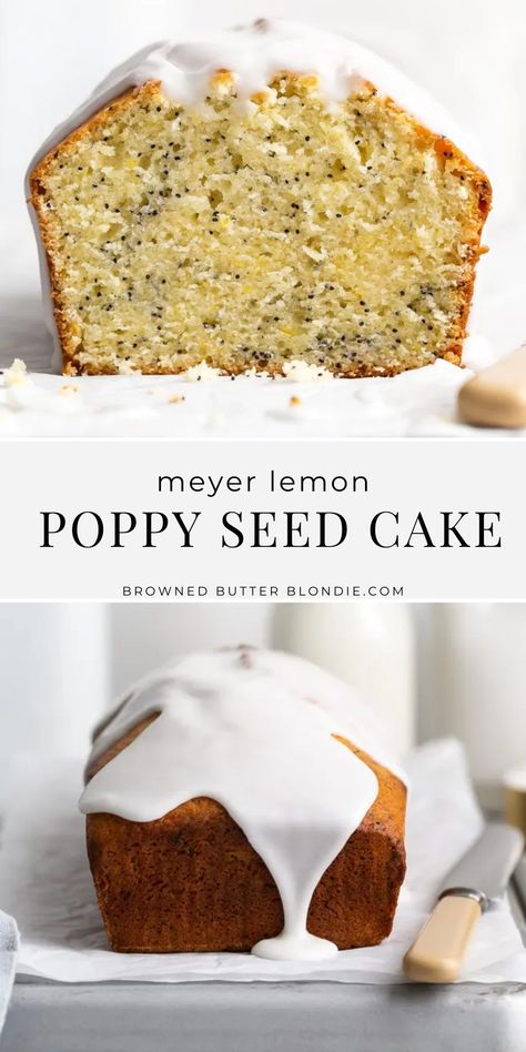 Lemon Poppyseed Bread Healthy, Meyer Lemon Poppyseed Bread, Easy Lemon Poppyseed Cake, Lemon Poppy Seed Loaf Recipe, Best Lemon Poppyseed Cake, Lemon Poppy Loaf, Lemon Poppyseed Loaf Cake, Lemon And Poppy Seed Loaf, Lemon Poppyseed Bread With Glaze