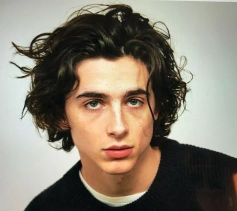 Timothee Chalamet, A Black, Curly Hair, Long Hair, Hair, Black