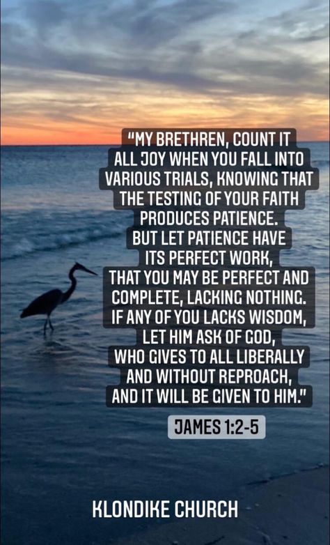 Let Patience Have Her Perfect Work, Count It All Joy Scriptures, Count It All Joy, Faith Is The Substance, Taste And See, The Lord Is Good, Random Inspiration, James 1, Daughters Of The King