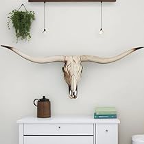 Cow Skull Wall Decor, Animal Skull Decor, Cow Wall Decor, Cow Skull Decor, Head Wall Decor, Skull Wall Decor, Longhorn Skull, Longhorn Cow, Long Horn