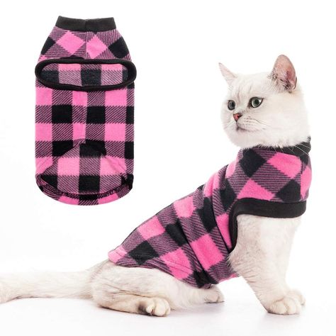 Outfits For Cats, Fat Cats Funny, Vest Clothes, Cat Skin, Soft Vest, Cat Sweater, Cat Fashion, Cat Dresses, Cat Sweatshirt