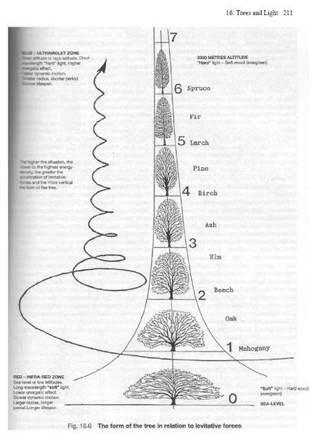 Channelling God From Within: Viktor Schauberger- Nature Was My Teacher Viktor Schauberger, Sacred Geometry Art, Spirit Science, E Mc2, My Teacher, Geometry Art, Quantum Physics, Free Energy, Science And Nature