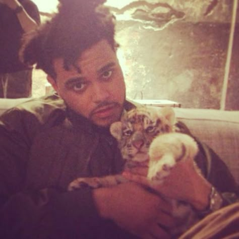 Abel the weeknd xo with cute tiger aka jugs The Weeknd, Other People