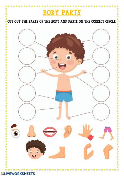 Parts of the body exercise pdf. You can do the exercises online or download the worksheet as pdf. Body Parts Worksheet Kindergarten, Part Of Body Worksheet, Parts Of The Body Worksheet, Preschool Body Theme, Labeling Kindergarten, Body Parts Preschool Activities, Body Parts For Kids, Human Body Worksheets, Parts Of Body