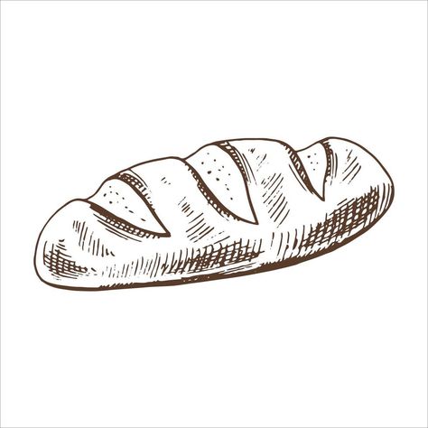 Vector hand drawn illustration of bread. Brown and white drawing isolated on white background. Sketch icon and bakery element for print, web, mobile and infographics. Food Illustration Black And White, Bread Icon, Bread Line, Background Sketch, Kids Art Galleries, Sketch Icon, Bread Art, Tattoo Stencil Outline, White Drawing