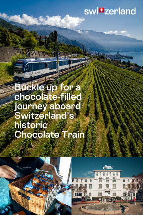 Discover the legendary Chocolate Train between Montreux and the Cailler Chocolate Factory in Broc! A must for chocolate lovers and train enthusiasts alike. Experience luxury in the elegant "Belle Époque" Pullman cars from 1915, exclusively in first class. Indulge in the world's finest temptation on this unforgettable Swiss rail journey! 🚂🍫
📍 Gruyères © Switzerland Tourism, Published: July 2024 Cailler Chocolate, Train Switzerland, Pullman Car, Swiss Travel Pass, Switzerland Tourism, Swiss Air, Swiss Travel, Swiss Chocolate, Visit Switzerland