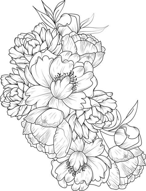 Peony flower. Black and white outline vector coloring book page for adults and children blossom peony with leaves, simplicity, Embellishment, and floral drawing. Flower Black And White, Black And White Outline, Vector Typography, Floral Drawing, Drawing Drawing, Flower Black, Peony Flower, Book Page, Floral Flower