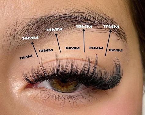 Cat Eye Lash Extensions Volume, Wispy Lash Map, Lashes At Home, Lash Map, Lash Extentions, Wispy Eyelashes, Short Lashes, Morning Beauty Routine, Lash Extension Kit