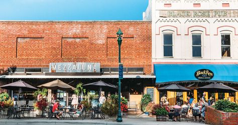 Not every mountain ’ville has an aquarium and 30 restaurants — plus bears and a forest — on Main Street. Hendersonville Tennessee, Pisgah National Forest, Lake Lure, Western Nc, Nc Mountains, Modern Mountain, Blue Ridge Parkway, Mountain Town, Wine Region