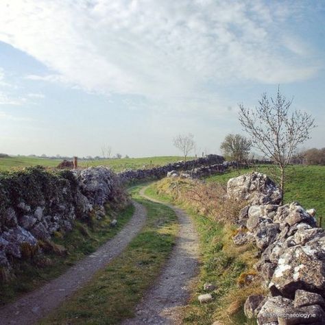 Roscommon Ireland, Raging Sea, Long Winding Road, Christmas Editorial, Take The Long Way Home, Ireland Aesthetic, Rockabilly Cars, Ancient Ireland, Country Lane