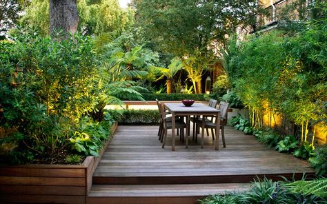 25 garden screening ideas – the best ways to improve privacy in your garden | Real Homes Garden Design London, Courtyard Gardens Design, Garden Privacy, Garden Screening, London Garden, Real Homes, Modern Garden Design, Garden Landscape Design, Deck Garden