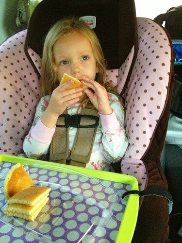 When we were prepping for our trip to Gulf Shores, I'd be lying if I said I wasn't terrified of the idea of being in the car all day with small children.  It seriously scared the crap out of me.  I... Car Tray, Eating In The Car, Traveling With Kids In Car, Traveling With Toddlers In Car, Dollar Tree Road Trip Ideas For Kids, Toddler Road Trip Activities 1 Year, One Year Old Car Activities Road Trips, Two Year Old Road Trip Activities, Toddler Car Activities