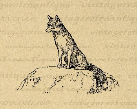 Castlevania Wallpaper, Animal Clip Art, Fox Images, Vintage Fox, Fox Illustration, Antique Artwork, Art Ancien, Antique Images, Arte Animal