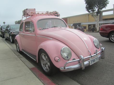 Beetle Volkswagen Vintage, Pink Vw Bug, Pink Volkswagen, Pink Volkswagen Beetle, Volkswagen Vintage, Pink Beetle, Volkswagen Beetle Vintage, Vintage Cars 1950s, Pantone 2016