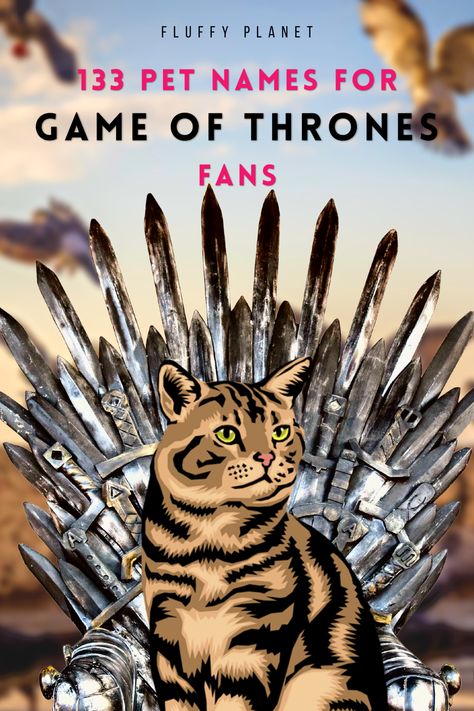 If you’re a huge Game of Thrones fan and would like to name your pet based on the series, we have just the list for you. Keep reading to find more. Game Of Thrones Name Ideas, Game Of Thrones Cat, Game Of Thrones Names, Got Characters, Name Games, Game Of Thrones Fans, Kitty Games, House Of Dragons, Cat Names