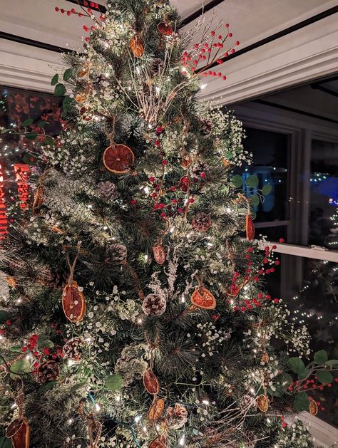 A lightly flocked Christmas tree decorated with dried citrus such as lemons, limes, oranges, and grapefruit, holly berries, white babys-breath flowers, pinecones, and white lights. This Christmas tree has branches, holly berries and eucalyptus poking out from the tree as well. Winter Berry Christmas Tree, Christmas Tree With Pinecones And Berries, Christmas Tree With Gypsophila, Christmas Trees With Baby’s Breath, Fairycore Christmas Tree, Christmas Tree Eucalyptus, Christmas Tree With Babysbreath, Christmas Tree Baby Breath, Christmas Tree With Dried Flowers