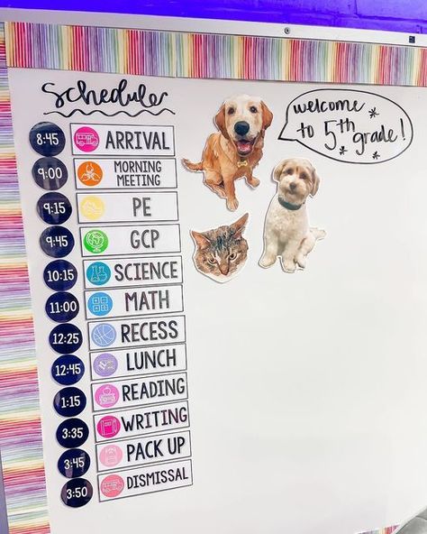 Things For Classroom Ideas, Teacher Ideas For Classroom High School, Schedule On Whiteboard, Woof Of The Week Classroom, Grade R Classroom Ideas, Whiteboard Decoration Ideas Classroom, Teacher Whiteboard Organization, 1st Grade Classroom Ideas, Teacher White Board Ideas