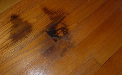 How do you get Dark Stains out of Hardwood Floors? Water Stain On Wood, Staining Wood Floors, Diy Hardwood Floors, Black Wood Floors, Wood Floor Repair, Remove Pet Stains, Old Wood Floors, Wood Floor Cleaner, Hardwood Floor Cleaner