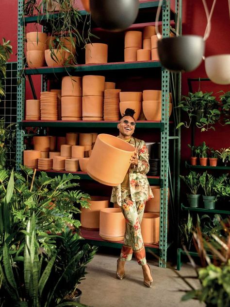 Plant Kween's guide to buying your green gurls. Modern Planters Outdoor, Tattoo Plant, Coffee Shop Bar, Village House Design, Plant Aesthetic, Unusual Plants, Unique Plants, Garden Shop, Plant Nursery