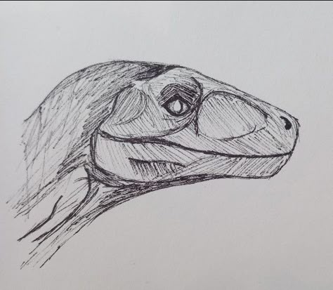 Drawing Ideas Dinosaurs, How To Draw A Raptor, Simple Dinosaur Drawing, Raptor Drawing Reference, Dinosaur Sketch Easy, Indominus Rex Drawing, How To Draw A Dinosaur, Dinosaur Drawing Sketch, How To Draw Dinosaurs