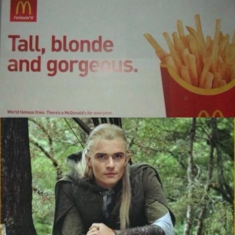 Legolas Imagines, Legolas Funny, Lotr Legolas, Legolas And Gimli, Legolas Greenleaf, Legolas And Thranduil, Lotr Funny, Lord Of Rings, Lord Of The Ring