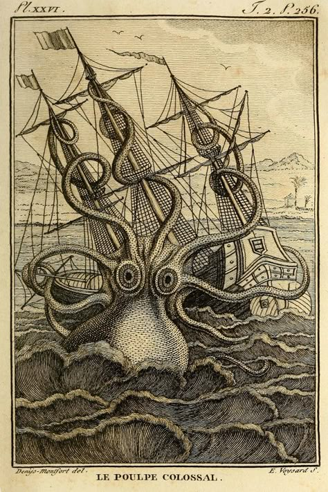 Kraken Octopus Art Print - Kraken Octopus On A Raging Sea Historic Art Print/Poster Octopus Art Print, Octopus Print, Beach House Art, Octopus Art, Coastal Prints, Art Et Illustration, Sea Monsters, A Ship, Nature Tattoos