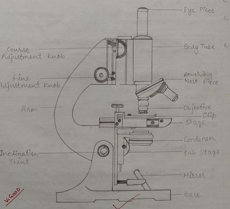 Microscope Diagram, Microscope Drawing, Dissecting Microscope, Microscope Pictures, Compound Microscope, Solar System Art, Anatomy Bones, Biology Resources, Aesthetic Drawings