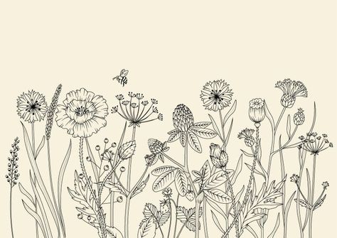 Arte Aries, Botanical Line Drawing, Flower Drawings, Drawing Flowers, Pola Sulam, Arte Sketchbook, 자수 디자인, Botanical Drawings, Line Drawings