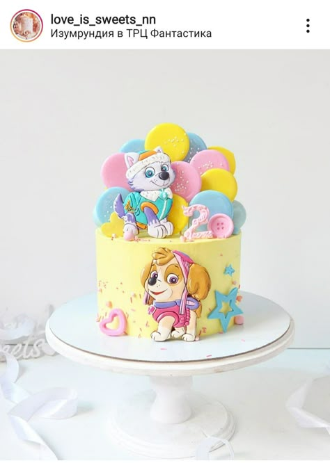 Paw Patrol Cookies Girl, Tort Paw Patrol, Sky Birthday Cake, Paw Patrol Sky Cake, Paw Patrol Birthday Cake Girl, Baby Cake Design, Best Playdough Recipe, Paw Patrol Birthday Decorations, Paw Patrol Cookies